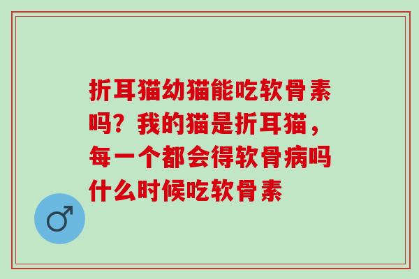 折耳猫幼猫能吃软骨素吗？我的猫是折耳猫，每一个都会得软骨吗什么时候吃软骨素