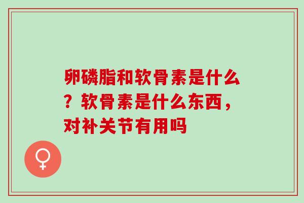 卵磷脂和软骨素是什么？软骨素是什么东西，对补关节有用吗