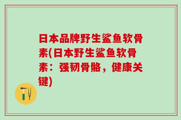 日本品牌野生鲨鱼软骨素(日本野生鲨鱼软骨素：强韧骨骼，健康关键)