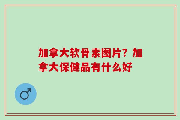 加拿大软骨素图片？加拿大保健品有什么好