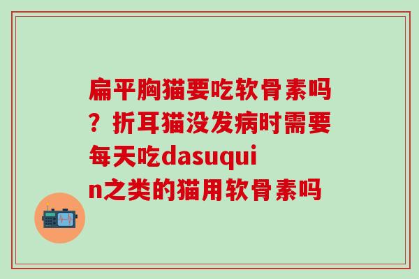 扁平胸猫要吃软骨素吗？折耳猫没发病时需要每天吃dasuquin之类的猫用软骨素吗