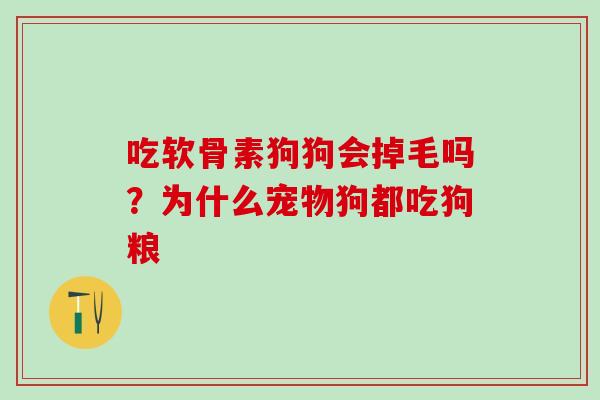 吃软骨素狗狗会掉毛吗？为什么宠物狗都吃狗粮