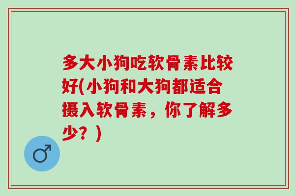 多大小狗吃软骨素比较好(小狗和大狗都适合摄入软骨素，你了解多少？)