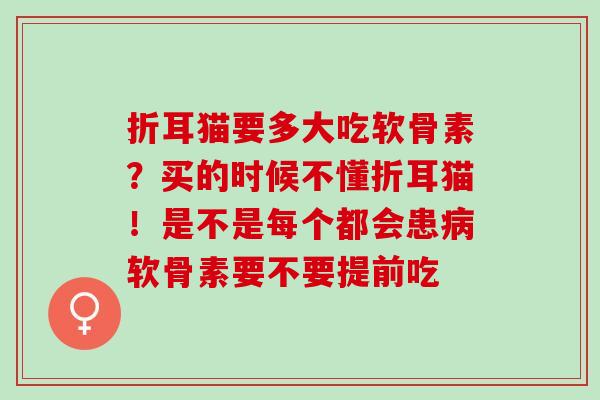 折耳猫要多大吃软骨素？买的时候不懂折耳猫！是不是每个都会患软骨素要不要提前吃
