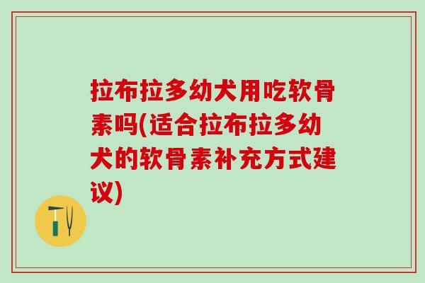 拉布拉多幼犬用吃软骨素吗(适合拉布拉多幼犬的软骨素补充方式建议)