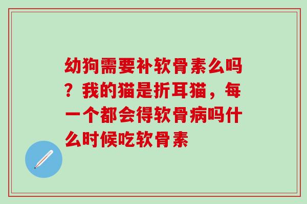 幼狗需要补软骨素么吗？我的猫是折耳猫，每一个都会得软骨病吗什么时候吃软骨素