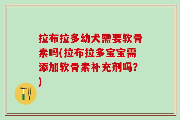 拉布拉多幼犬需要软骨素吗(拉布拉多宝宝需添加软骨素补充剂吗？)