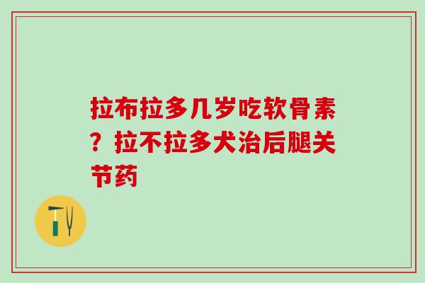 拉布拉多几岁吃软骨素？拉不拉多犬治后腿关节药