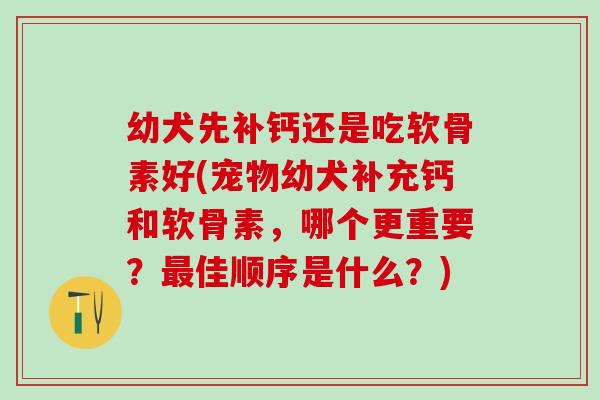 幼犬先补钙还是吃软骨素好(宠物幼犬补充钙和软骨素，哪个更重要？最佳顺序是什么？)