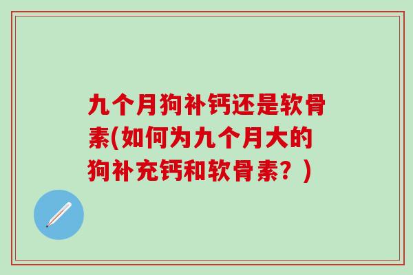 九个月狗补钙还是软骨素(如何为九个月大的狗补充钙和软骨素？)