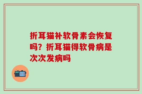 折耳猫补软骨素会恢复吗?折耳猫得软骨是次次发吗 折耳猫补软骨素会恢复吗?折耳猫得软骨是次次发吗