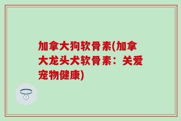 加拿大狗软骨素(加拿大龙头犬软骨素：关爱宠物健康)