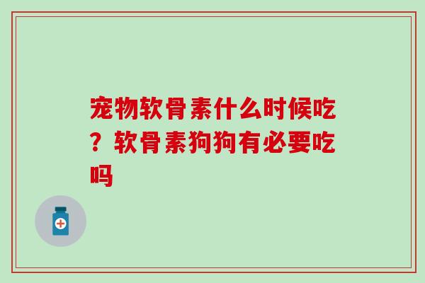 宠物软骨素什么时候吃？软骨素狗狗有必要吃吗