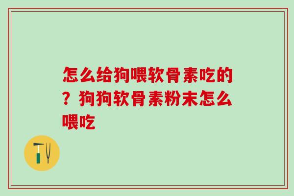 怎么给狗喂软骨素吃的?狗狗软骨素粉末怎么喂吃 怎么给狗喂软骨素吃的?狗狗软骨素粉末怎么喂吃
