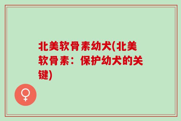 北美软骨素幼犬(北美软骨素：保护幼犬的关键)