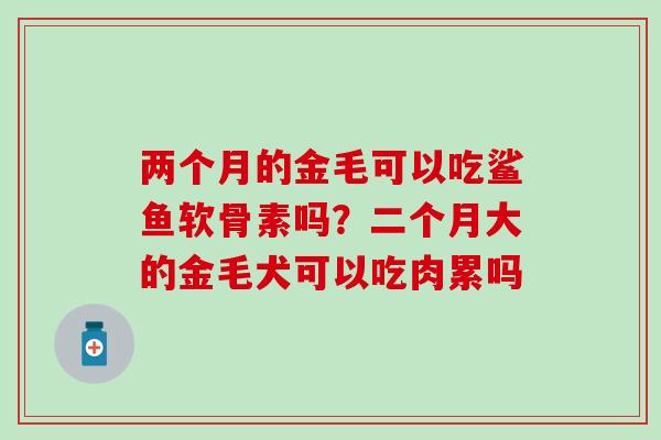两个月的金毛可以吃鲨鱼软骨素吗？二个月大的金毛犬可以吃肉累吗