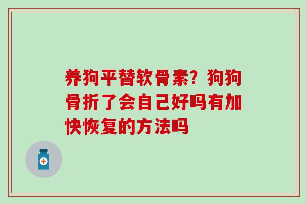 养狗平替软骨素？狗狗骨折了会自己好吗有加快恢复的方法吗