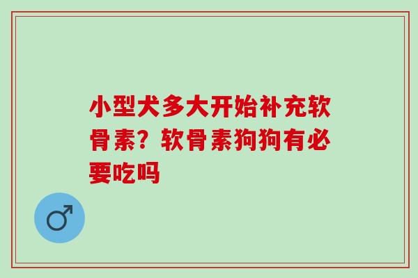 小型犬多大开始补充软骨素？软骨素狗狗有必要吃吗