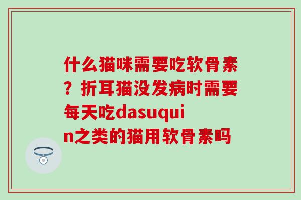 什么猫咪需要吃软骨素？折耳猫没发病时需要每天吃dasuquin之类的猫用软骨素吗