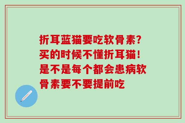 折耳蓝猫要吃软骨素?买的时候不懂折耳猫!是不是每个都会患软骨素要不要提前吃 折耳蓝猫要吃软骨素?买的时候不懂折耳猫!是不是每个都会患软骨素要不要提前吃