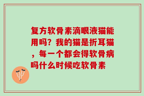 复方软骨素滴眼液猫能用吗？我的猫是折耳猫，每一个都会得软骨病吗什么时候吃软骨素