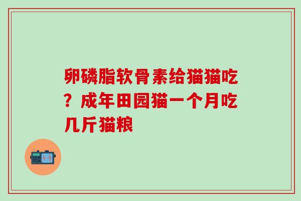 卵磷脂软骨素给猫猫吃？成年田园猫一个月吃几斤猫粮