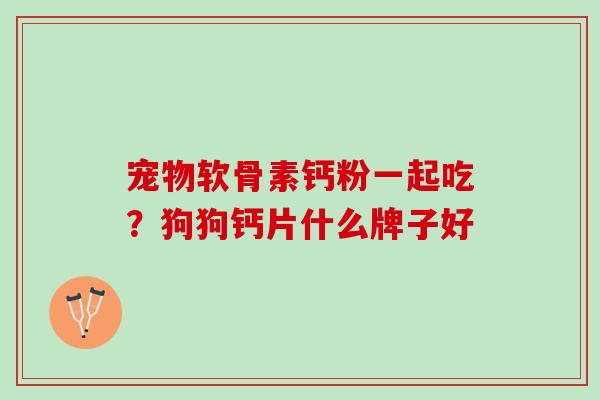 宠物软骨素钙粉一起吃？狗狗钙片什么牌子好