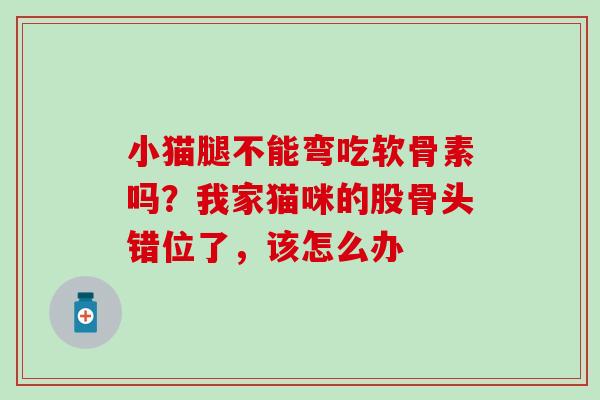 小猫腿不能弯吃软骨素吗？我家猫咪的股骨头错位了，该怎么办