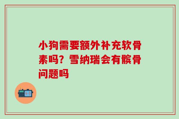 小狗需要额外补充软骨素吗?雪纳瑞会有髌骨问题吗 小狗需要额外补充软骨素吗?雪纳瑞会有髌骨问题吗