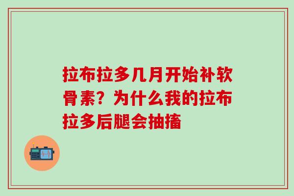 拉布拉多几月开始补软骨素？为什么我的拉布拉多后腿会抽搐