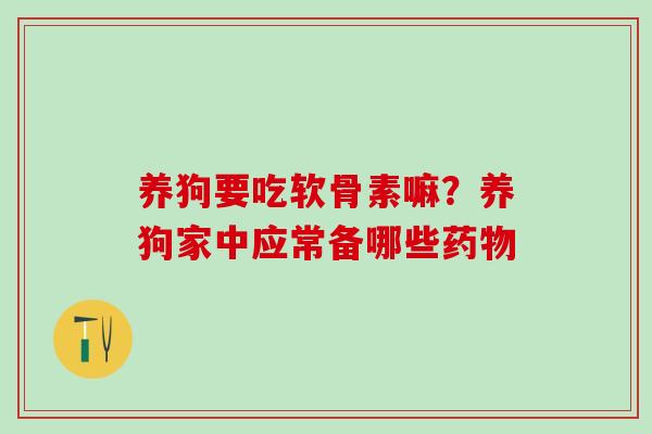 养狗要吃软骨素嘛？养狗家中应常备哪些药物