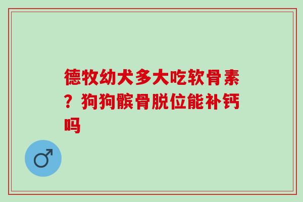 德牧幼犬多大吃软骨素?狗狗髌骨脱位能补钙吗 德牧幼犬多大吃软骨素?狗狗髌骨脱位能补钙吗