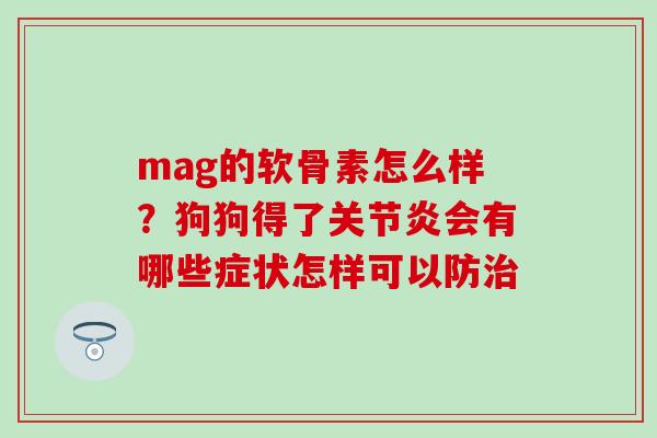 mag的软骨素怎么样？狗狗得了关节炎会有哪些症状怎样可以防治