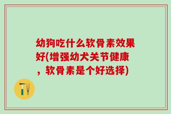 幼狗吃什么软骨素效果好(增强幼犬关节健康，软骨素是个好选择)