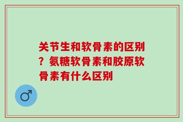 关节生和软骨素的区别？氨糖软骨素和胶原软骨素有什么区别