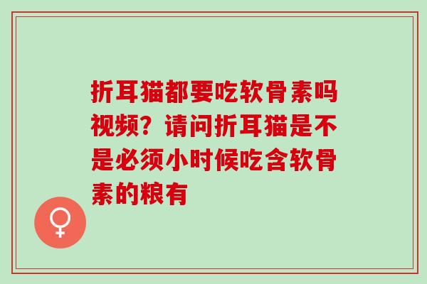 折耳猫都要吃软骨素吗视频？请问折耳猫是不是必须小时候吃含软骨素的粮有