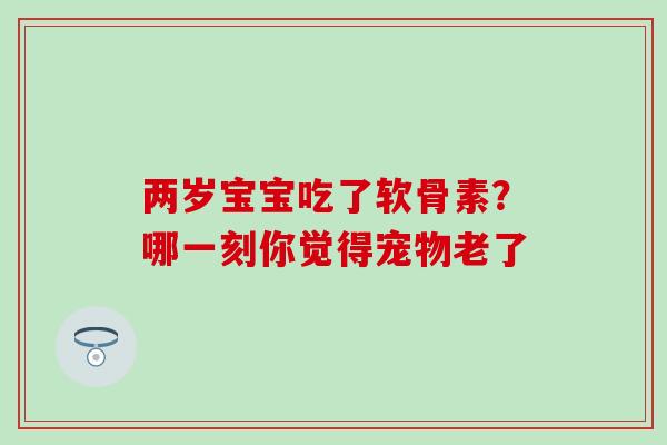 两岁宝宝吃了软骨素？哪一刻你觉得宠物老了