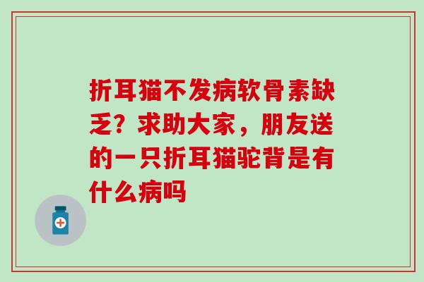 折耳猫不发软骨素缺乏?求助大家,朋友送的一只折耳猫驼背是有什么吗 折耳猫不发软骨素缺乏?求助大家,朋友送的一只折耳猫驼背是有什么吗
