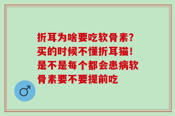 折耳为啥要吃软骨素？买的时候不懂折耳猫！是不是每个都会患病软骨素要不要提前吃