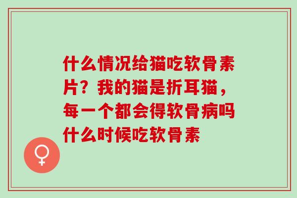 什么情况给猫吃软骨素片？我的猫是折耳猫，每一个都会得软骨病吗什么时候吃软骨素