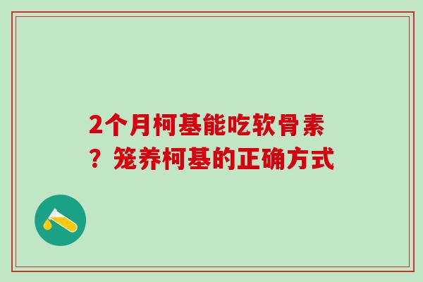 2个月柯基能吃软骨素？笼养柯基的正确方式