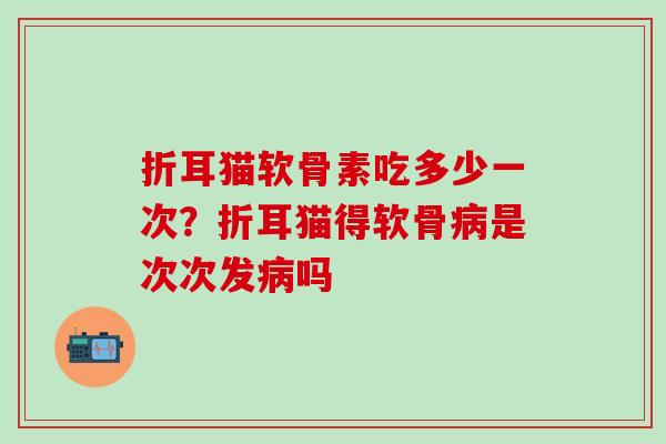 折耳猫软骨素吃多少一次？折耳猫得软骨病是次次发病吗