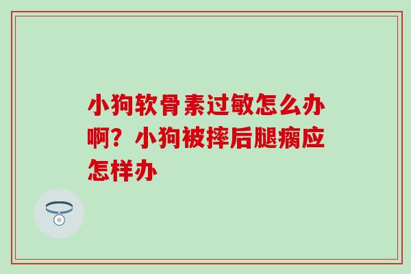 小狗软骨素过敏怎么办啊？小狗被摔后腿瘸应怎样办