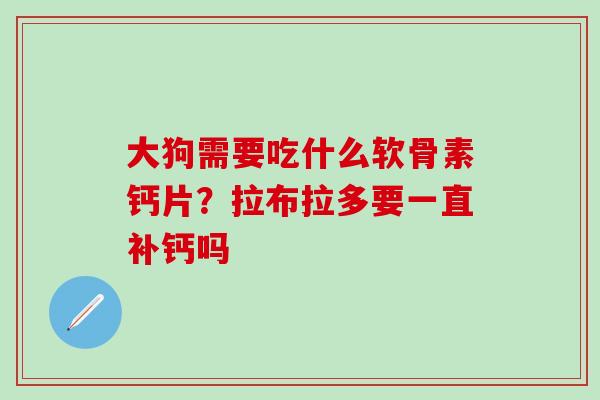 大狗需要吃什么软骨素钙片？拉布拉多要一直补钙吗