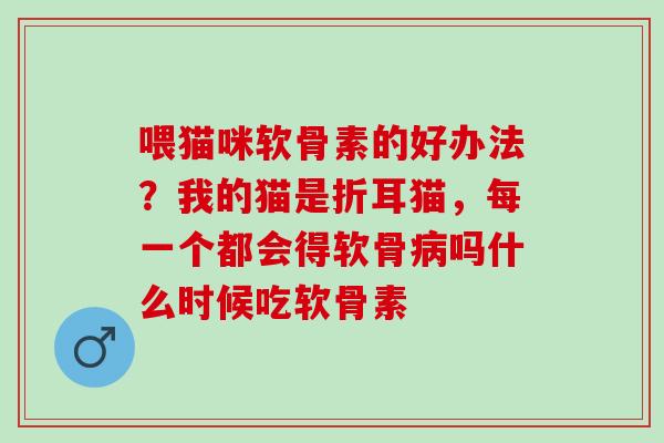喂猫咪软骨素的好办法？我的猫是折耳猫，每一个都会得软骨病吗什么时候吃软骨素