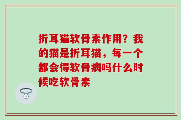 折耳猫软骨素作用？我的猫是折耳猫，每一个都会得软骨病吗什么时候吃软骨素