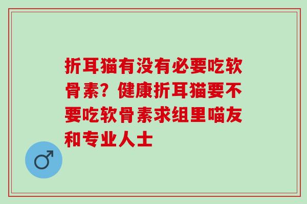 折耳猫有没有必要吃软骨素？健康折耳猫要不要吃软骨素求组里喵友和专业人士
