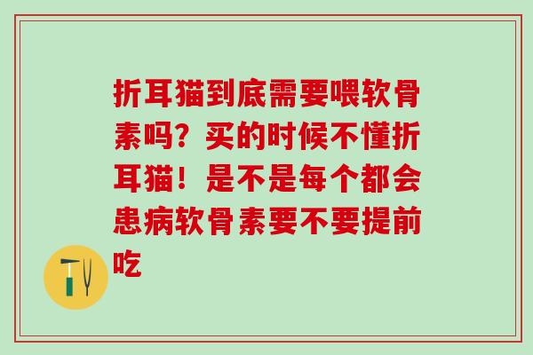 折耳猫到底需要喂软骨素吗？买的时候不懂折耳猫！是不是每个都会患病软骨素要不要提前吃