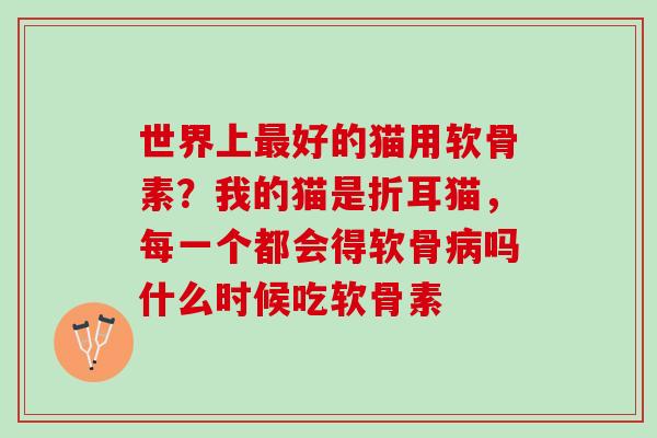 世界上最好的猫用软骨素？我的猫是折耳猫，每一个都会得软骨病吗什么时候吃软骨素