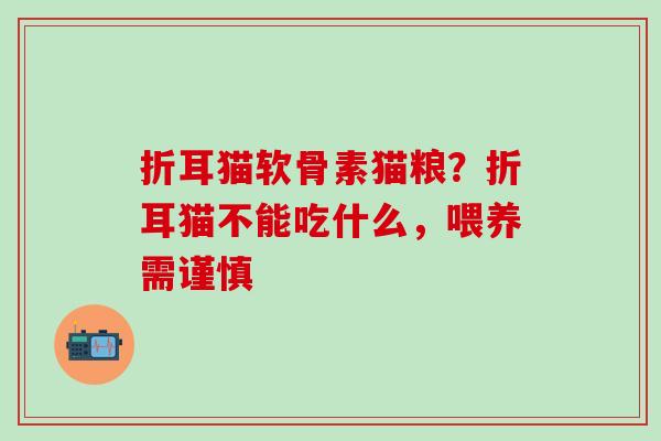 折耳猫软骨素猫粮？折耳猫不能吃什么，喂养需谨慎